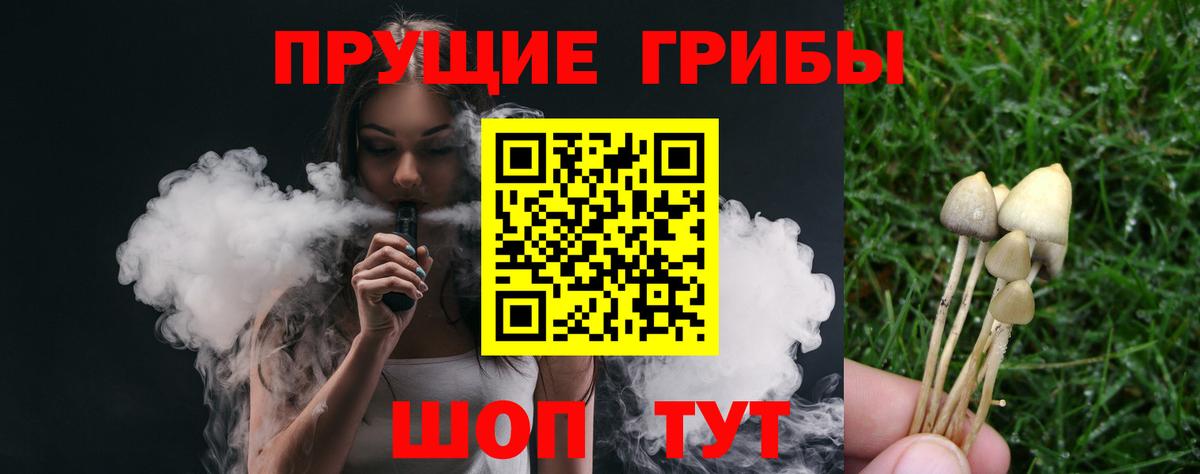 Галлюциногенные грибы MAGIC MUSHROOMS  Галлюциногенные грибы мицелий  Вход с VPN  Луга 