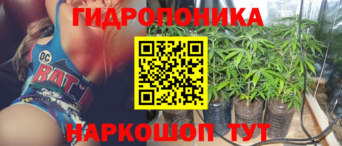 Бошки Шишки OG Kush  Бошки марихуана OG Kush  Каннабис семена  Луга  Вход с VPN  Шишки марихуана конопля 